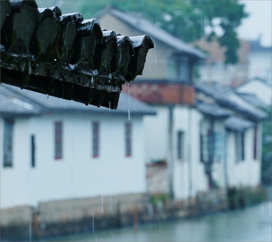 【雨中的金泽古镇摄影图片】风光摄影_太平洋电脑网摄影部落