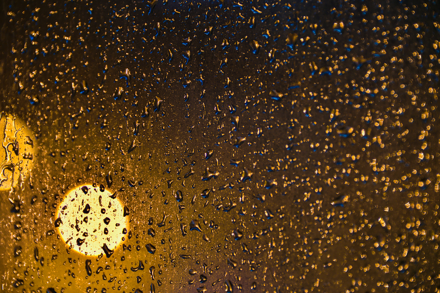 夜晚的那场雨 (共p)