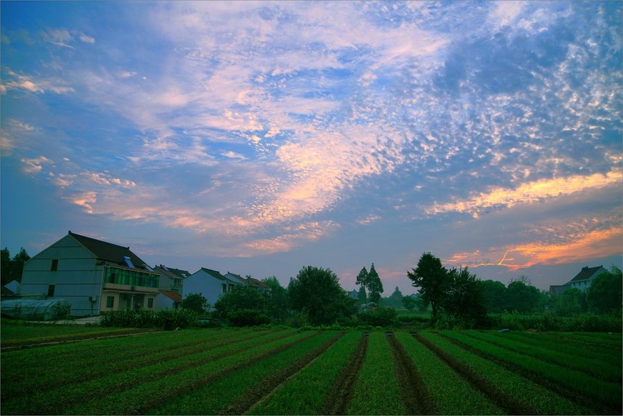 乡村 朝霞