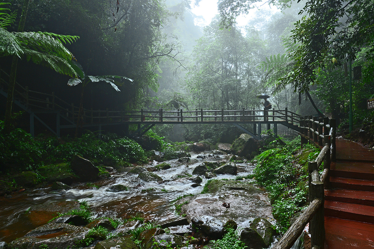 秋游—— 赤水 桫椤公园