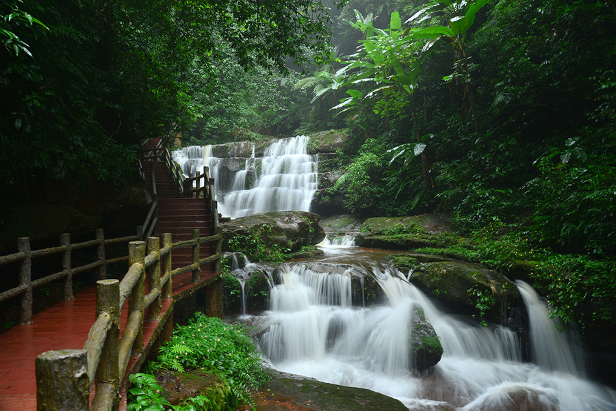 秋游 —— 赤水 桫椤公园