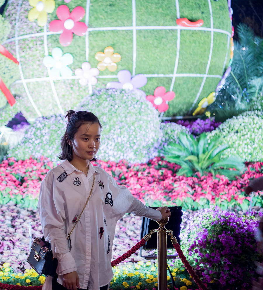 家门口节日花坛,灯光夜景