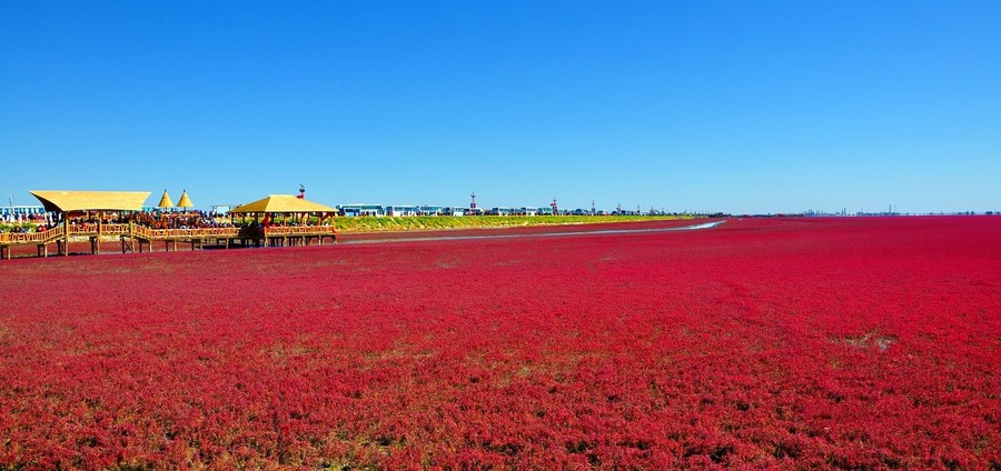 盘锦红海滩国家廊道景区 (共p)