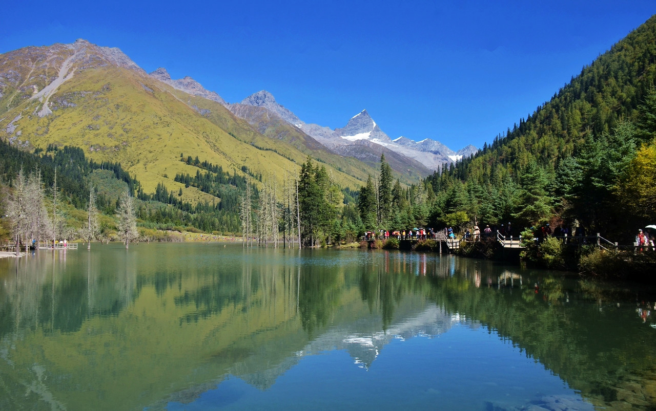 四姑娘山-------双桥沟