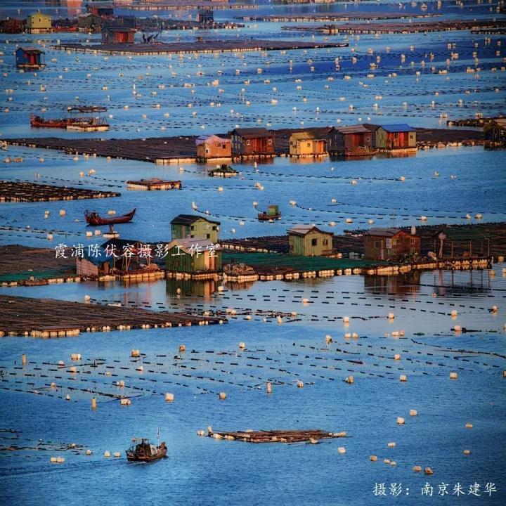 霞浦约起!相遇紫菜季
