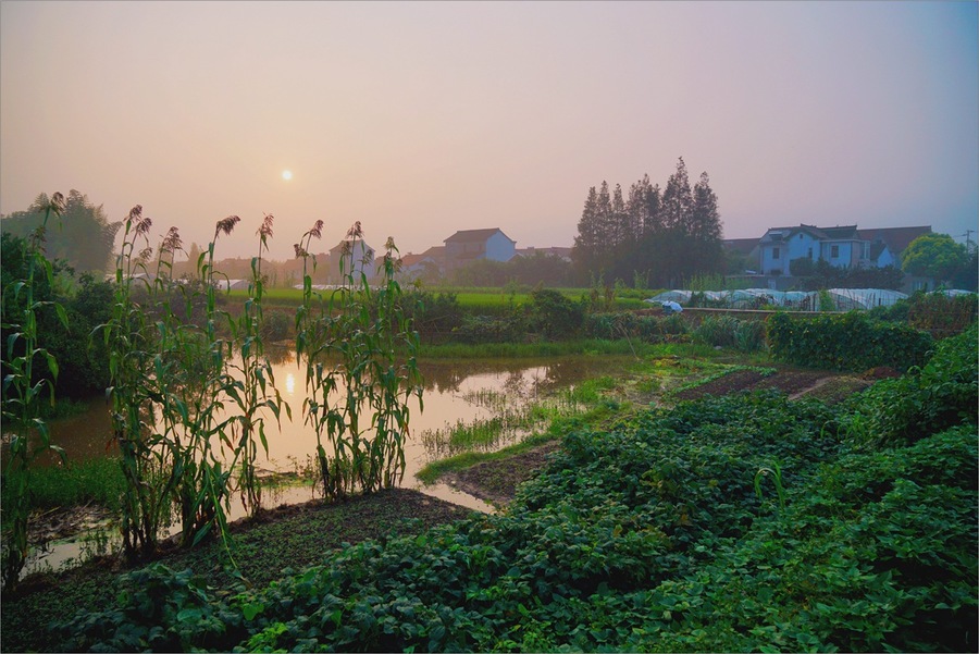 雨后清晨乡间速写