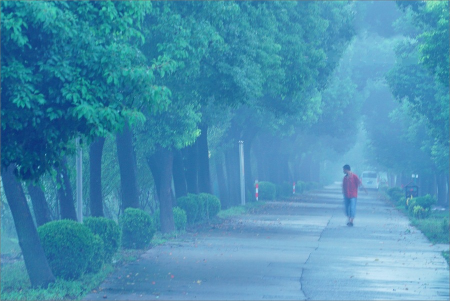 雨后清晨乡间速写