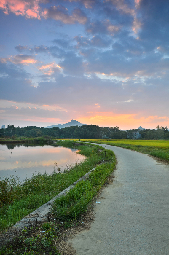 落日余晖【乡村,田园,稻香】