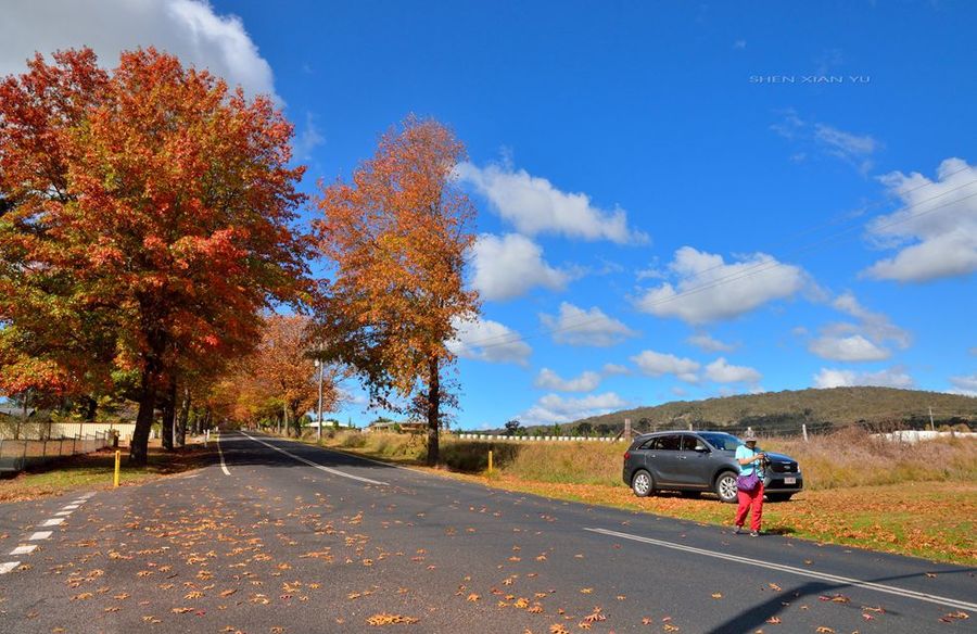 【【浪迹澳洲30天】. 新英格兰高原 . 秋色斑斓
