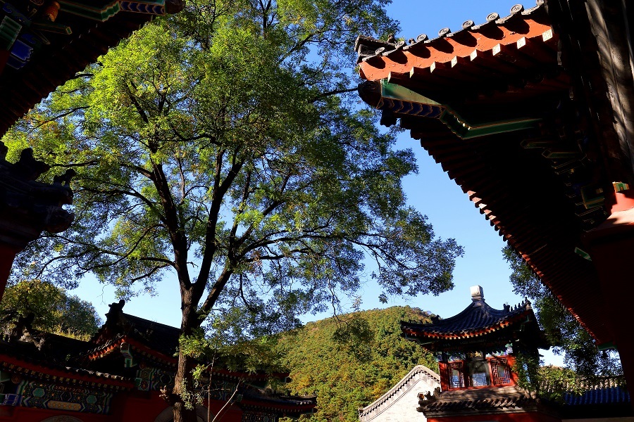 大美青龙山---延古寺