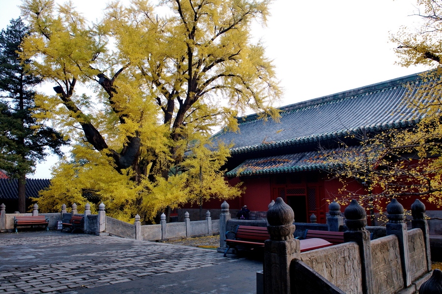 《古刹秋色》拍于西山大觉寺 (共p)