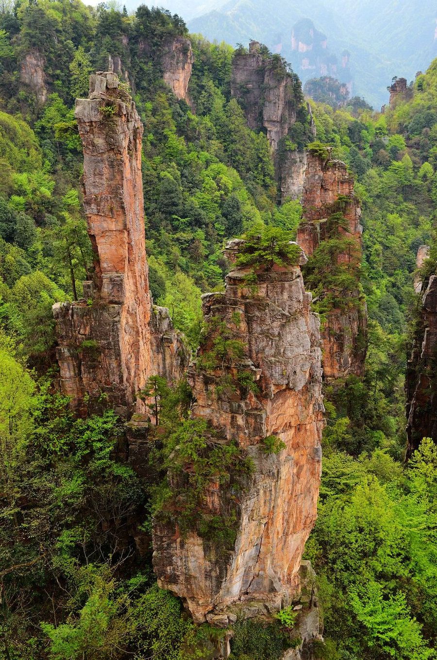 湖南旅游景点—天子山贺龙公园