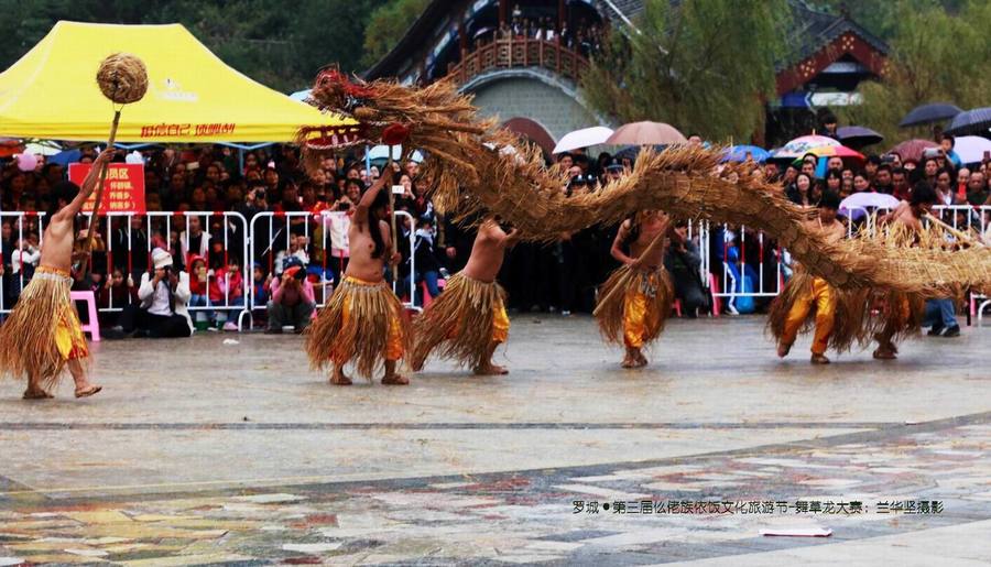 罗城第三届仫佬族依饭文化旅游节-舞草龙大赛