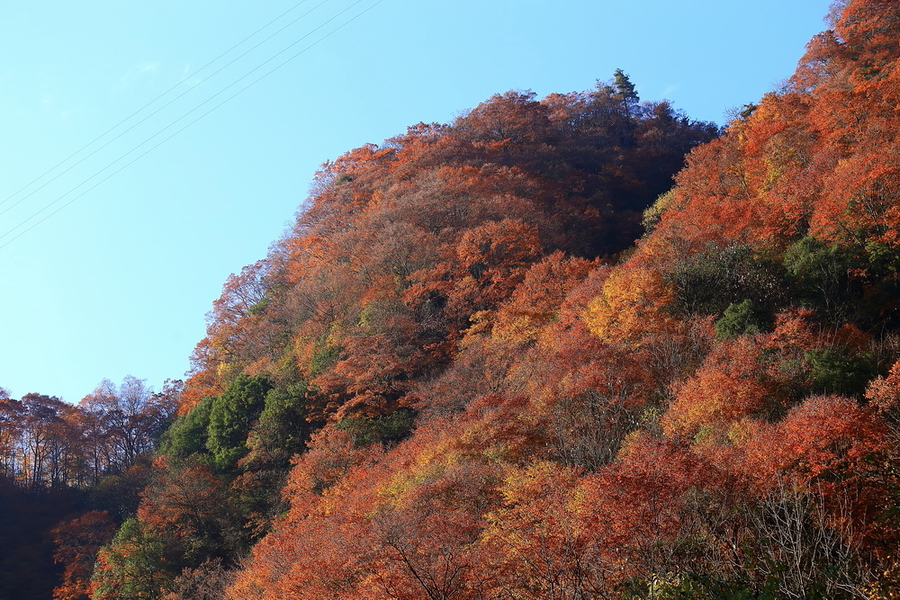 南江光雾山