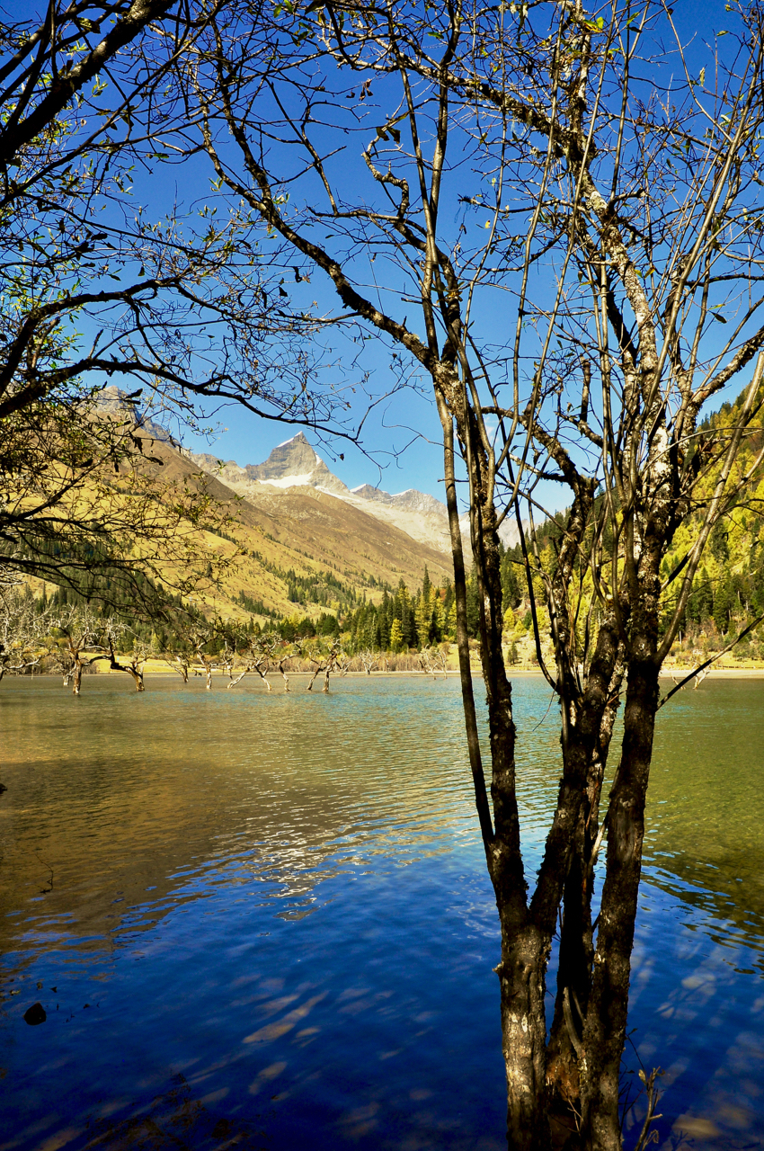 四姑娘山 双桥沟 风景如画