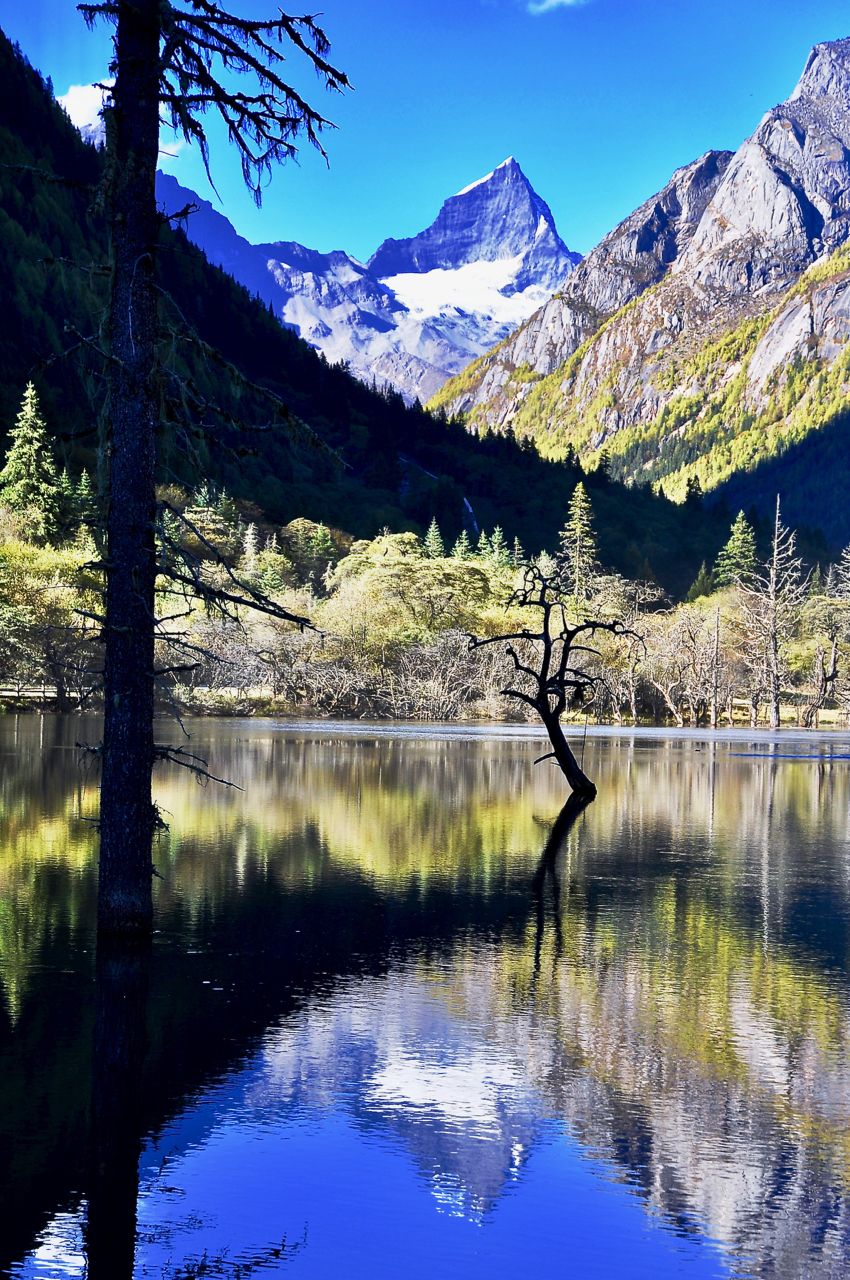 四姑娘山 双桥沟 风景如画 (共p)