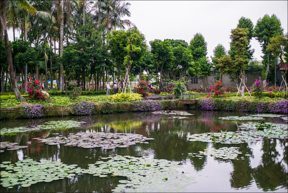 七工匠25\/1.8试拍菊展_松下LX5论坛