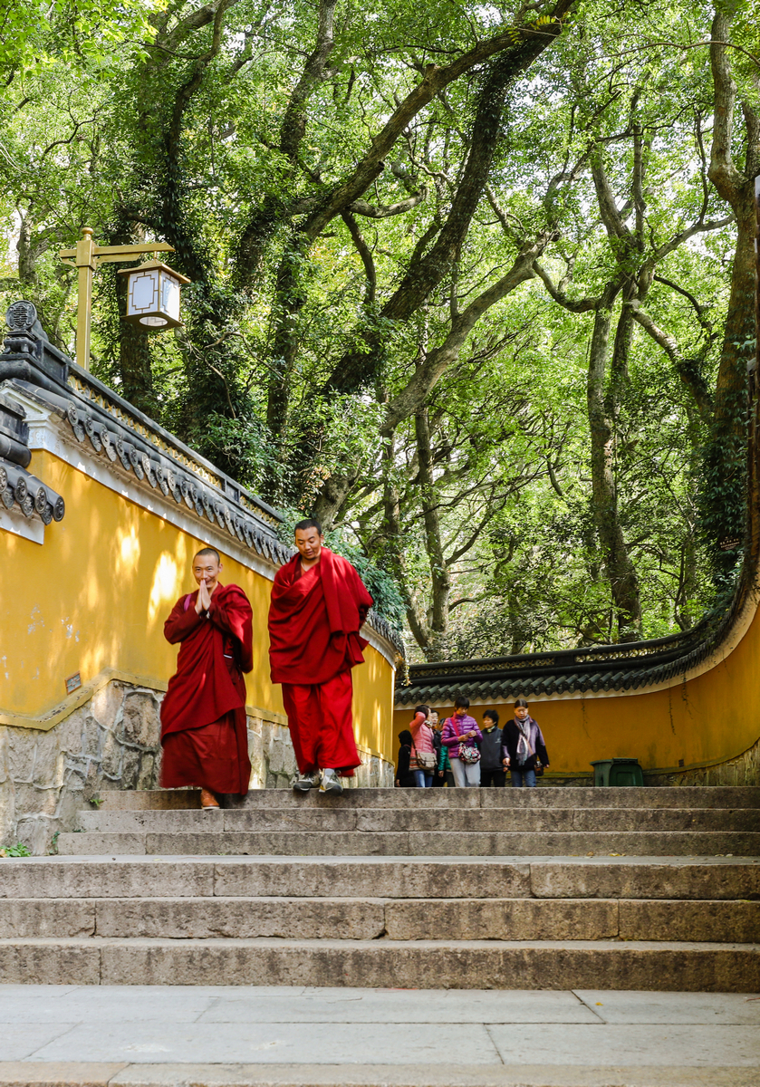 【普陀山法雨寺摄影图片】风光摄影_太平洋电脑网摄影