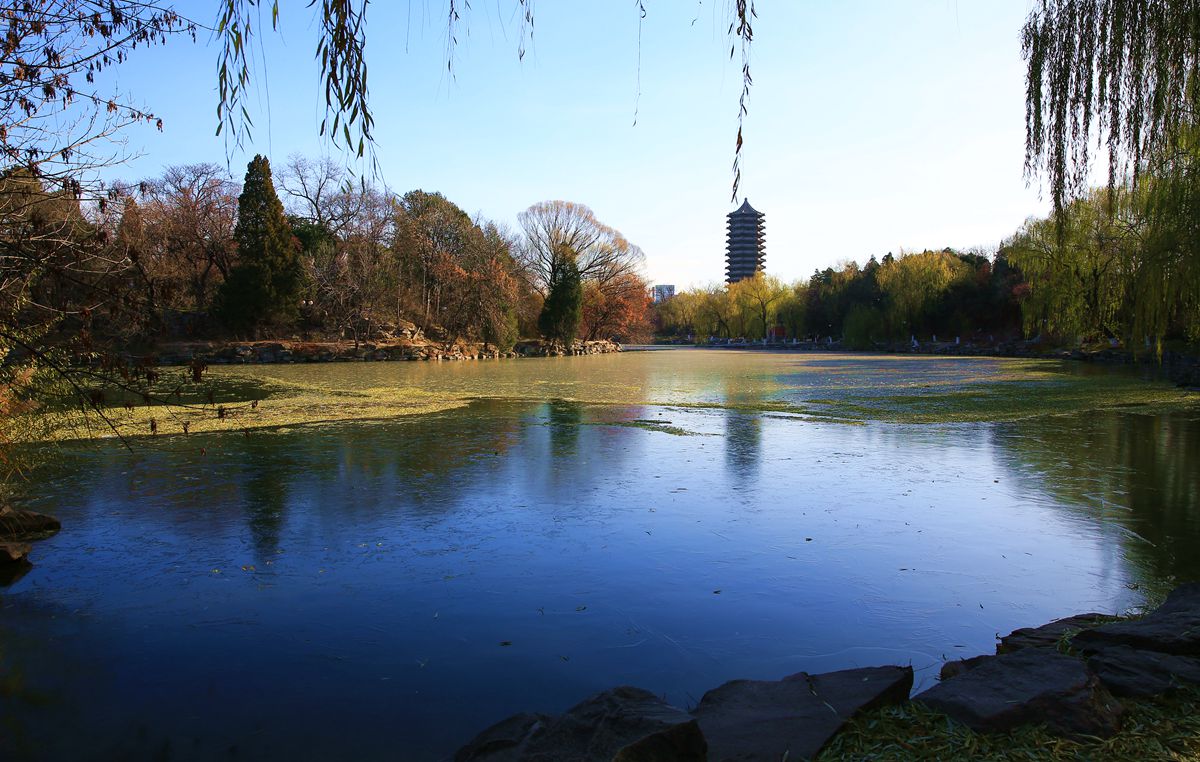 北京大学的冬天