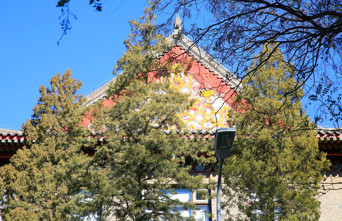 北京大学的冬天