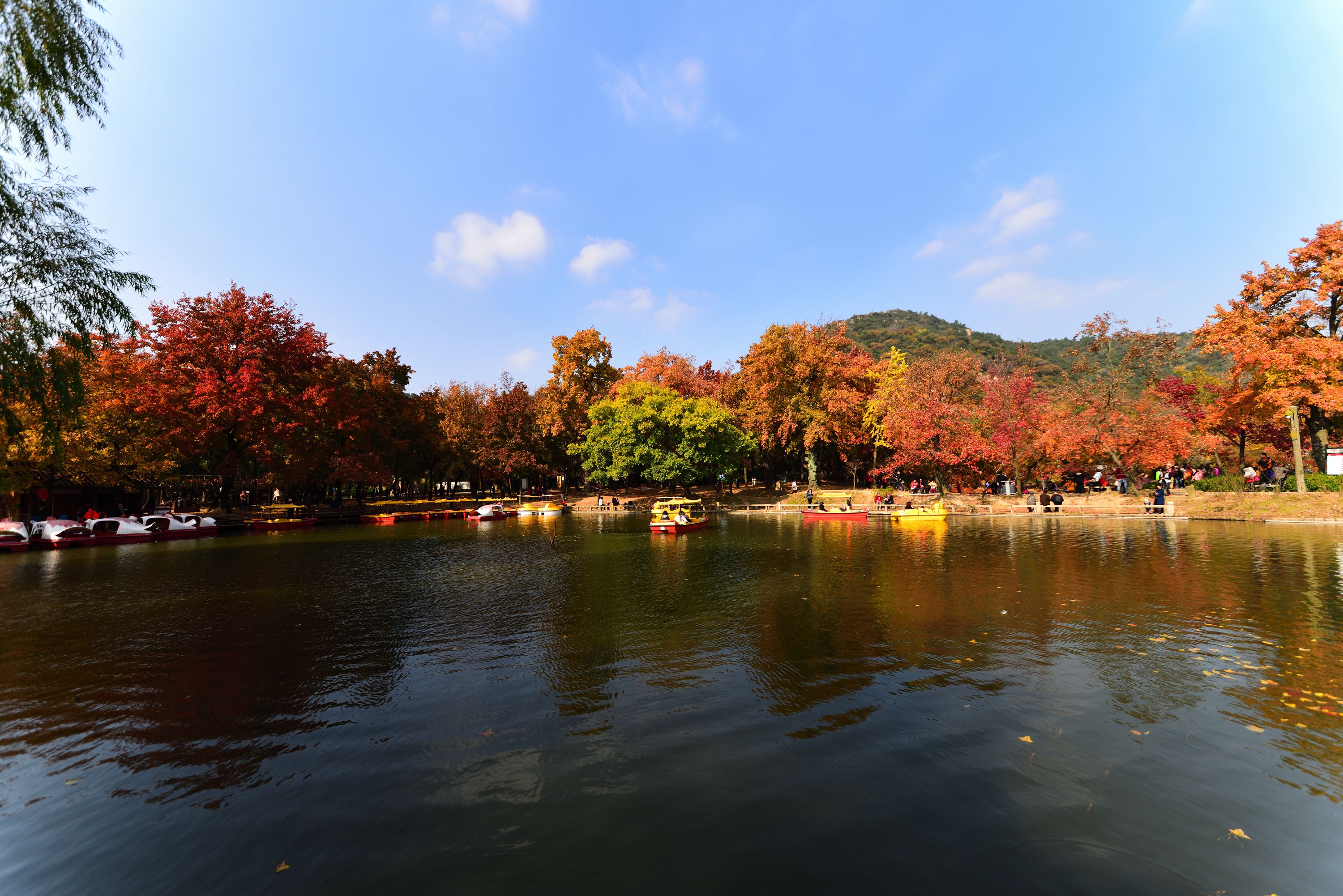 苏州天平山红枫节