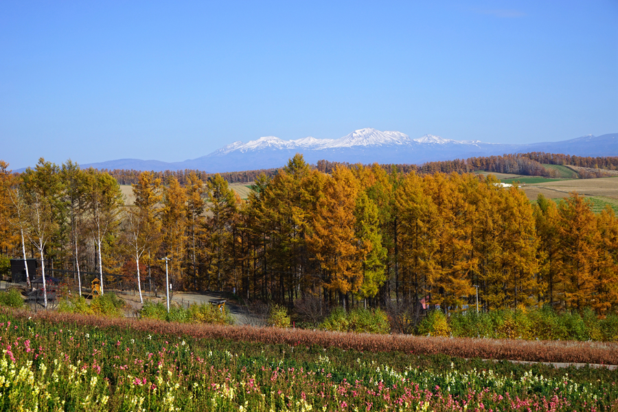 秋天的田野