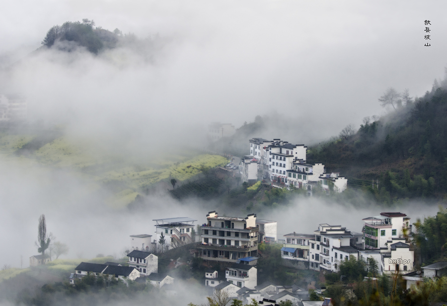 歙县坡山村