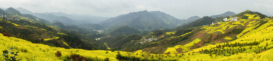 歙县坡山村