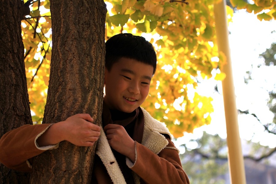 银杏树下一少年)