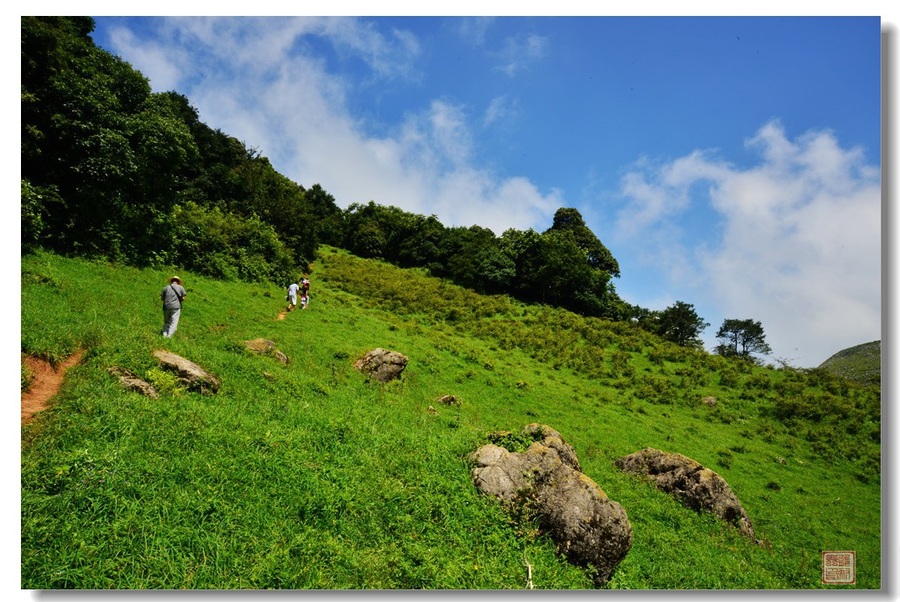 云南文山舍得草场(3)