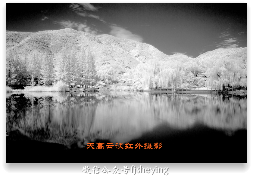 北京植物园(红外摄影)
