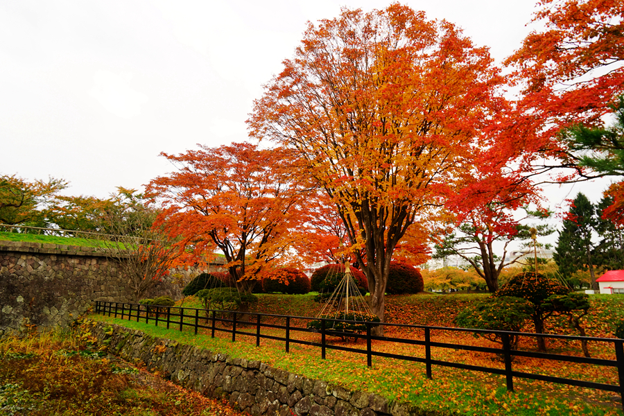 北海道函馆的秋景(共p)