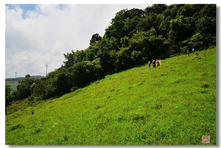 云南文山舍得草场(5)