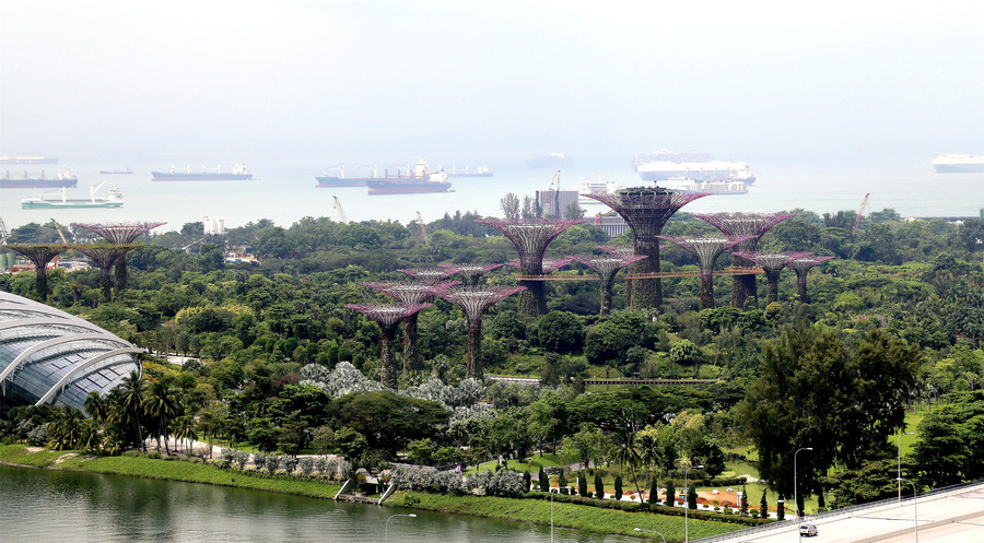 新加坡之旅滨海湾公园