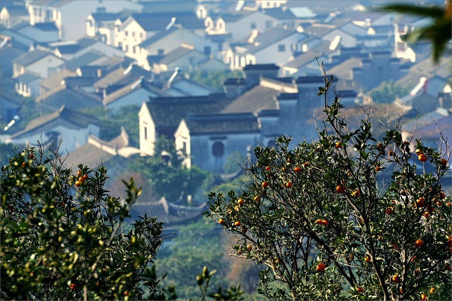 陆巷古村