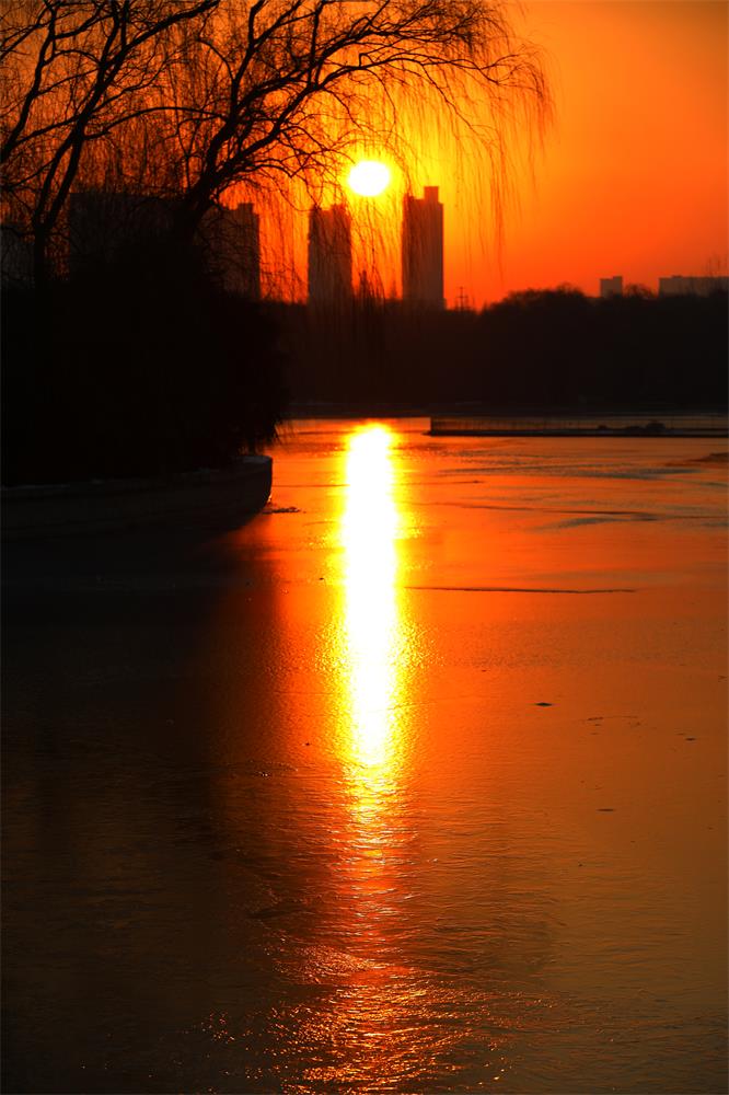 醉美夕阳红