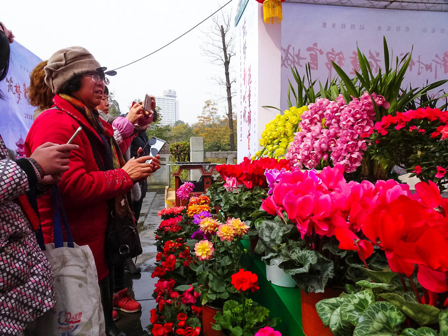 2018天府春花节