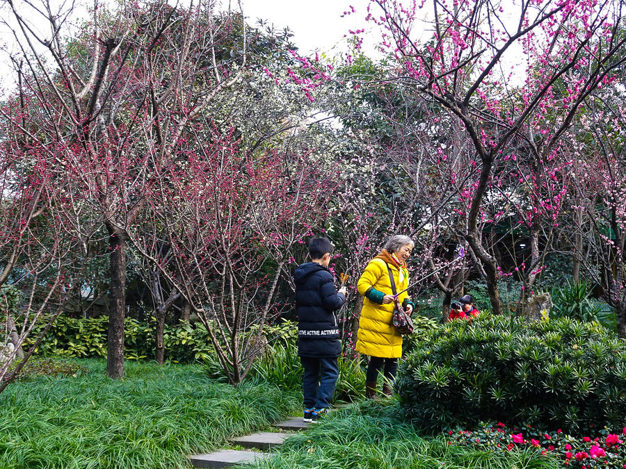 2018天府春花节