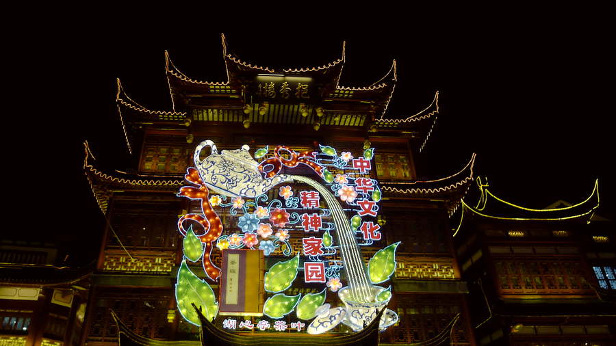 2018 城隍庙灯会随拍 9