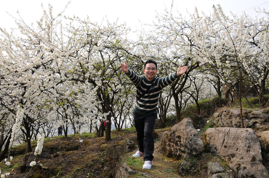 在万亩李子花林春游