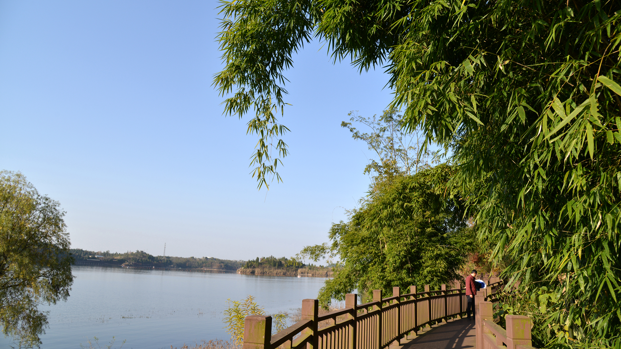 休闲时光,看风景