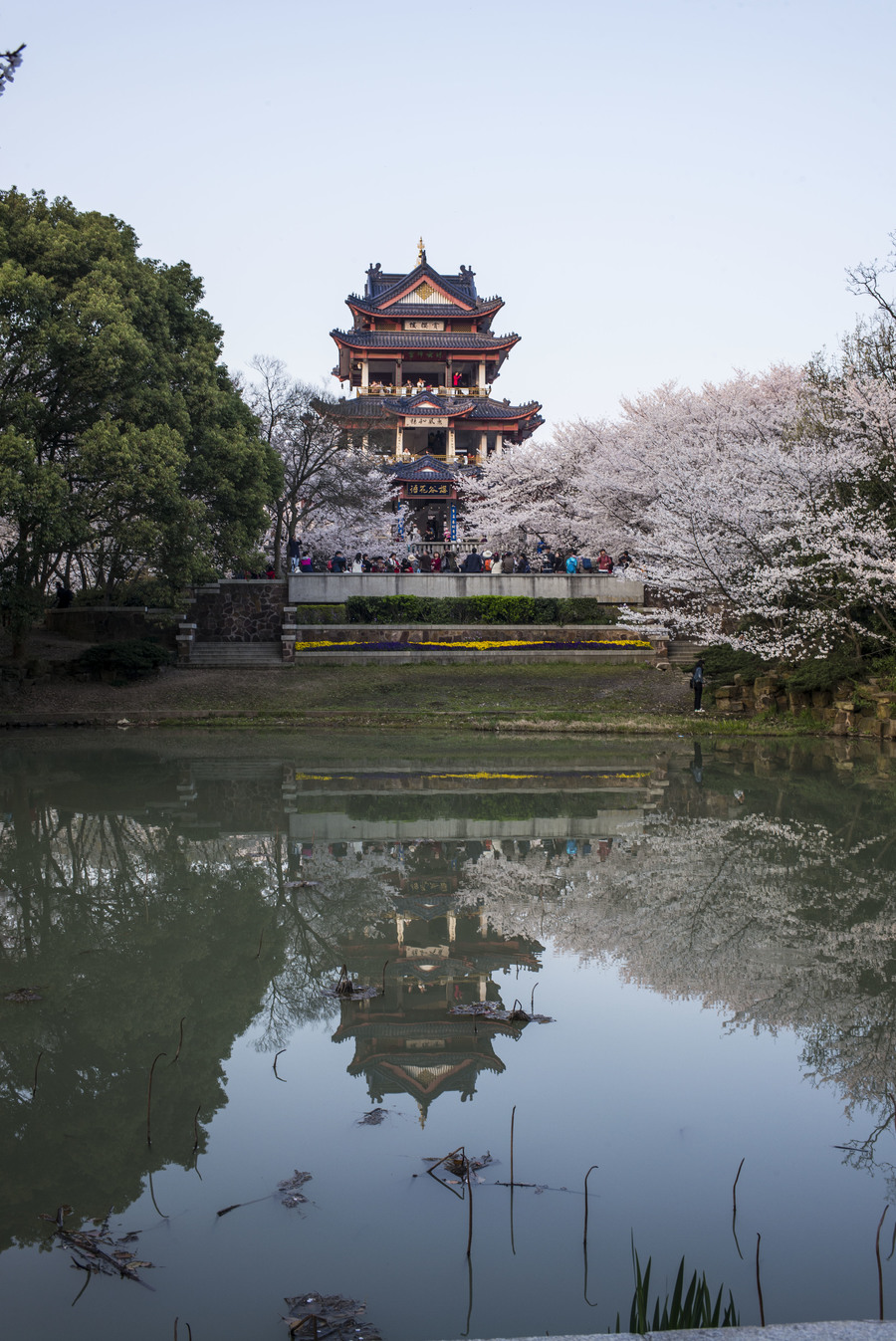 避开节假日游无锡鼋头渚