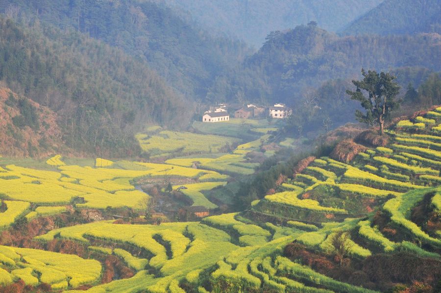 春游婺源——篁岭梯田