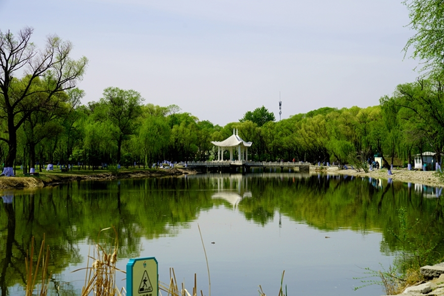 初夏的景色