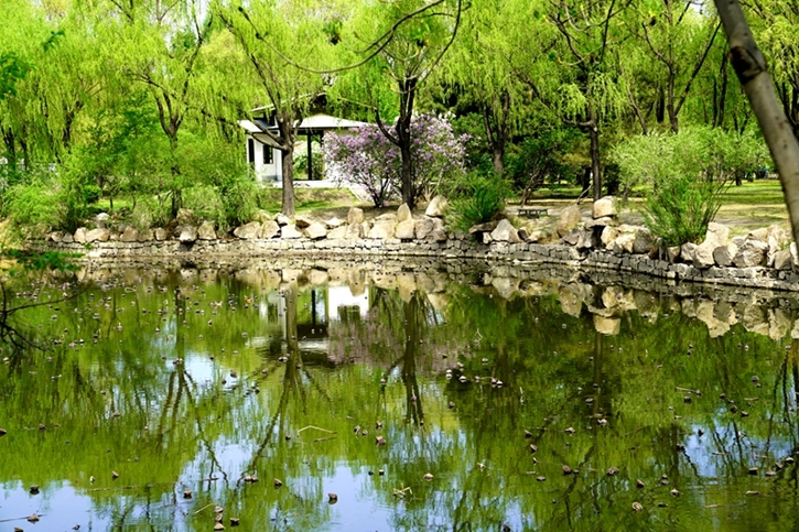 初夏的景色