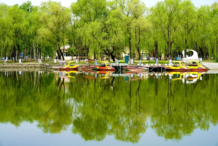 初夏的景色