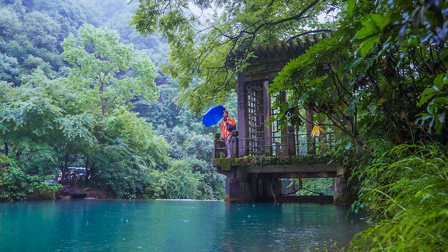 雨中-----龙井村