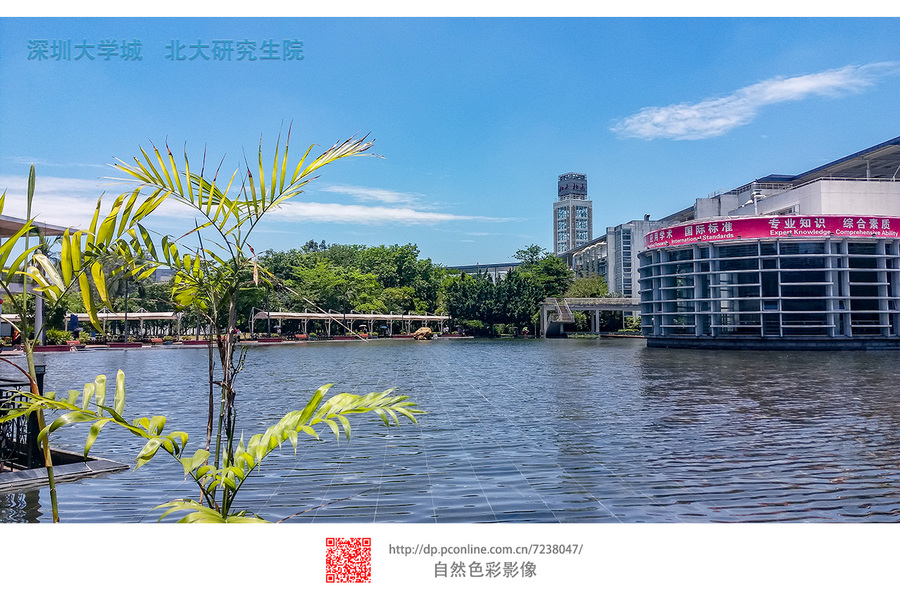 深圳大学城的天空很美