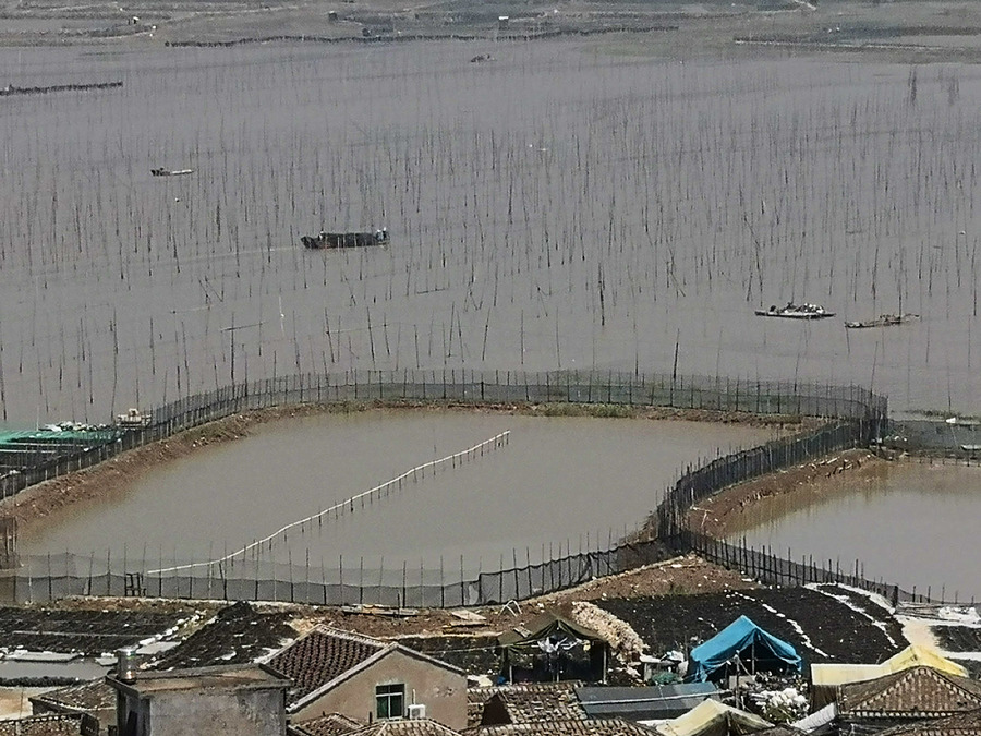 霞浦-沙江s湾 (共p)