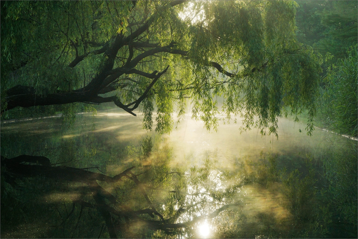 晨间美景